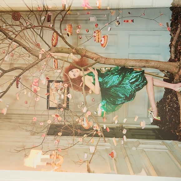 Feast for the Eyes Art Food Photography Book - Picture 5 of 15